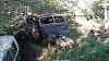 What is this?-20150714_191357_resized.jpg