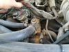 Help 84 Bronco II XLT-20160418_192137.jpg