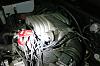 Ranger Swap with Crown Vic 5.0-ranger-engine-2.jpg