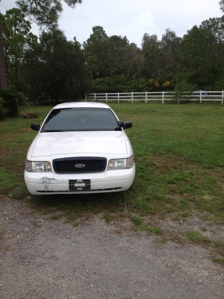 Name:  9f527b08.jpg
Views: 144
Size:  160.3 KB