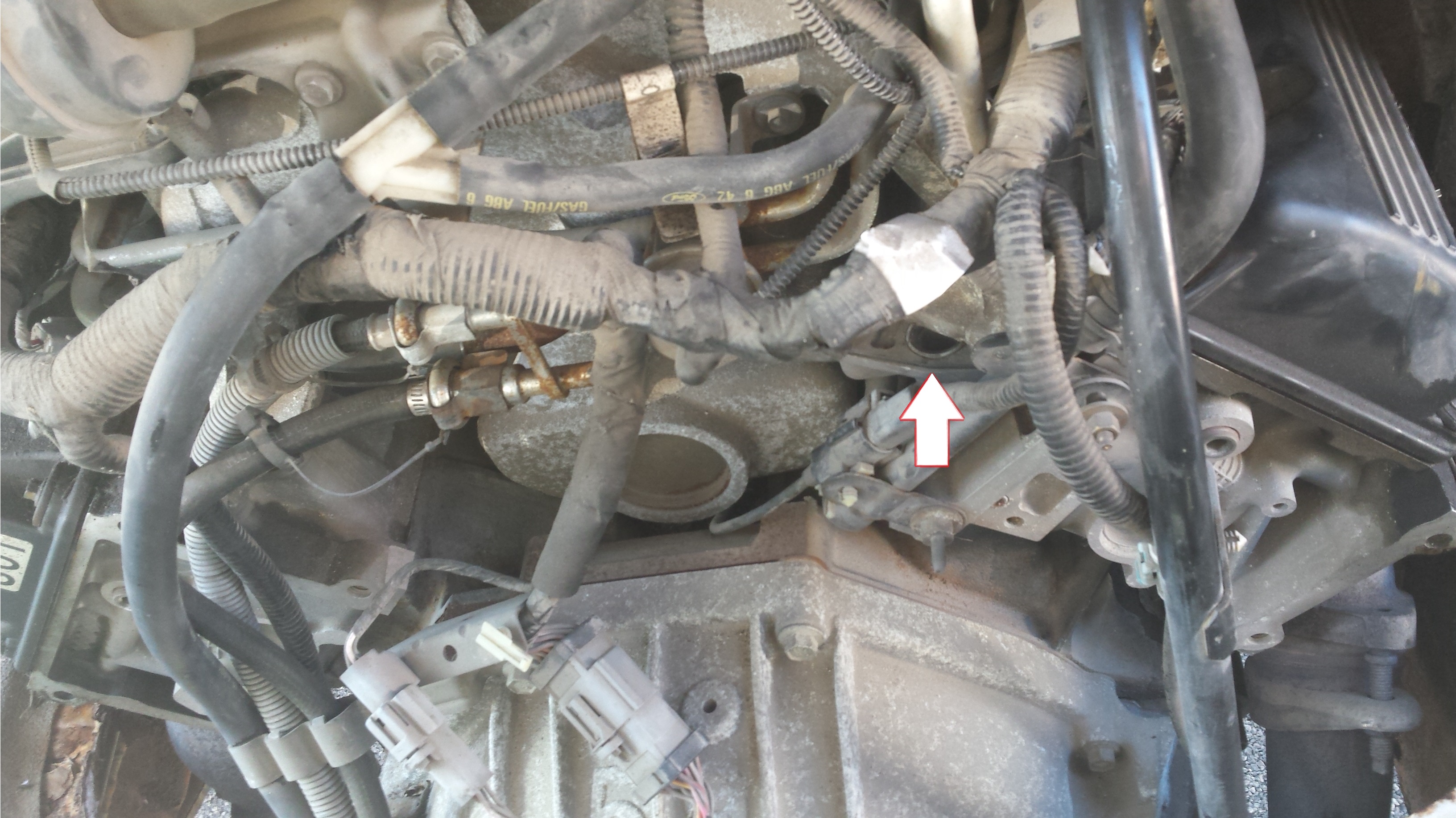 Name:  pLE6wrw.jpg
Views: 277
Size:  1.27 MB