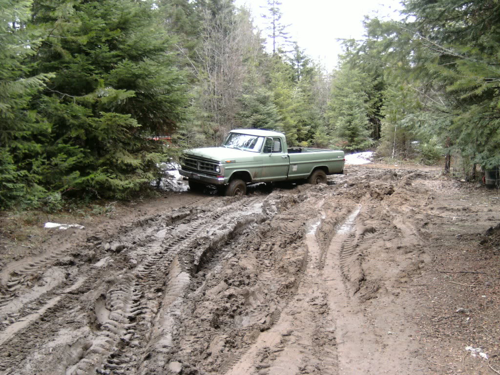 Name:  PICT0435.jpg
Views: 361
Size:  215.4 KB