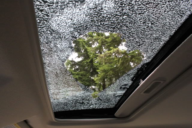 Name:  sunroof012.jpg
Views: 145
Size:  89.8 KB