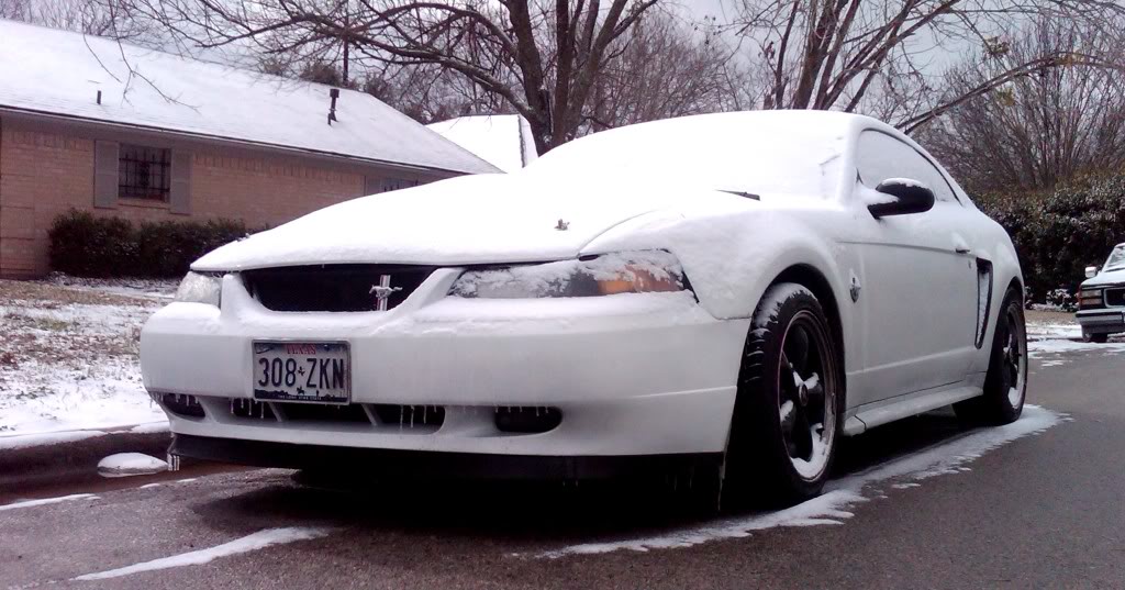 Name:  IMG01272-20110204-1043.jpg
Views: 137
Size:  115.8 KB