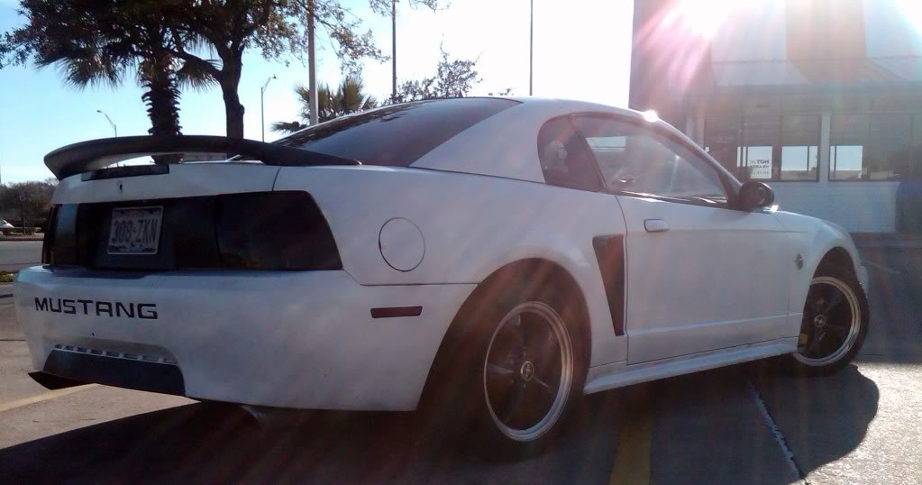 Name:  IMG01266-20110121-1602.jpg
Views: 105
Size:  67.5 KB