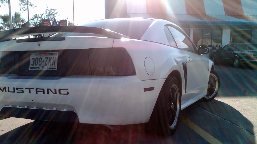 Name:  IMG01265-20110121-1601.jpg
Views: 102
Size:  65.1 KB