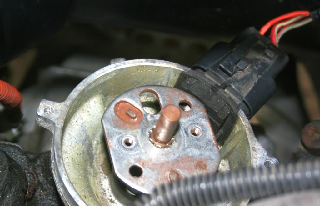 Name:  IMG_8615.jpg
Views: 1851
Size:  79.6 KB