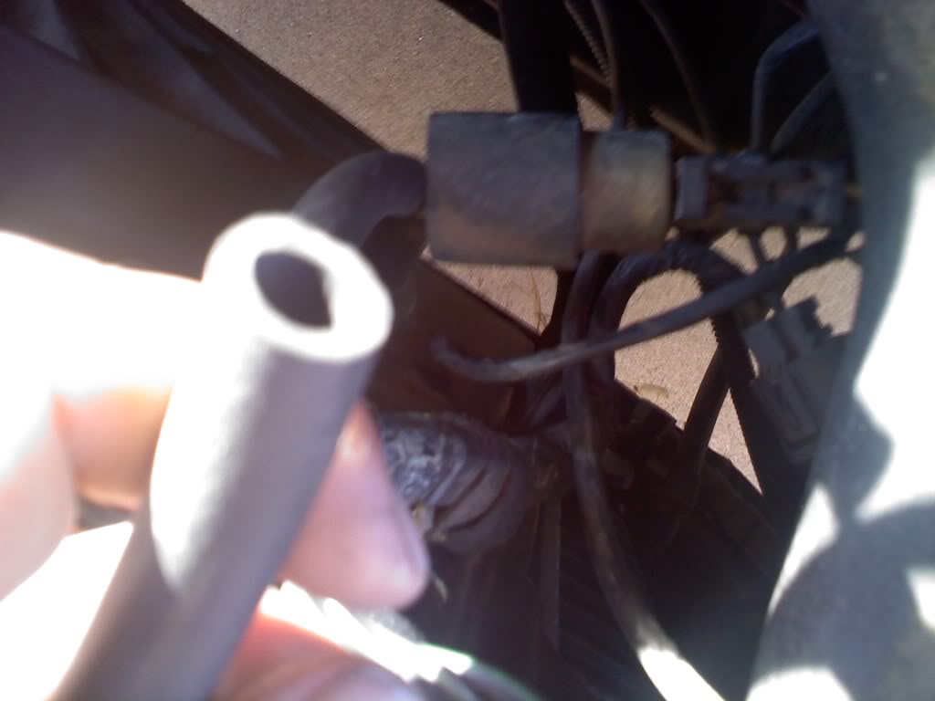 Name:  0928120749.jpg
Views: 562
Size:  50.6 KB