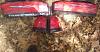thunderbird taillights and corners-photo189.jpg