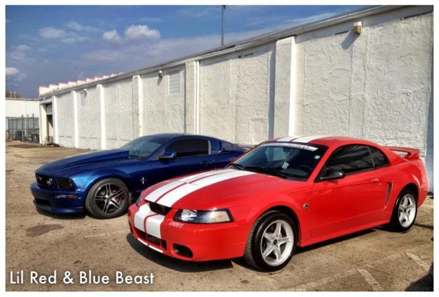Name: stang.jpg
Views: 36
Size: 47.1 KB