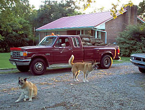 what about draginmopars-8-28-04080.jpg