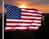 November 11 Veterans day/Remembrance day-flag.jpg