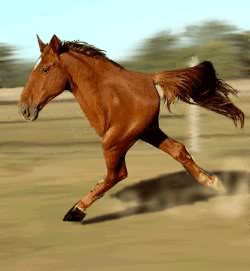 Name:  horse.jpg
Views: 32
Size:  9.9 KB