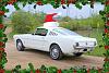 The 24 Cars of Christmas:Day 12-65 Mustang fastback-24_65-mustang-1-2.jpg