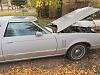 Parting 1979 Thunderbird-bird-pass-side.jpg