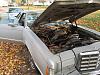 Parting 1979 Thunderbird-bird-pass-front.jpg