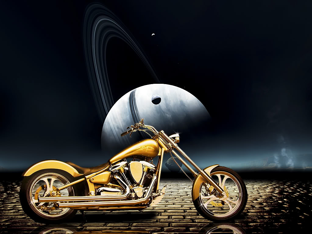 Name:  GoldHarly1.jpg
Views: 344
Size:  133.4 KB